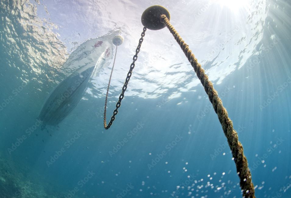 TomMurrayJr1's tweet image. Hey @RonDeSantis you would be better off tying yourself to a boat anchor then campaigning with this guy!!  

#NHPOLITICS
@MichaelGorecki