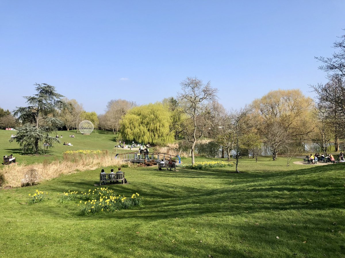 Tom Windle tweet media