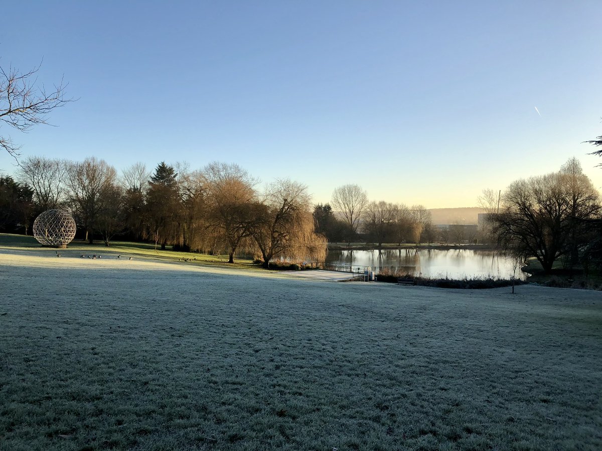 Tom Windle tweet media