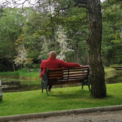 Solrak's tweet image. #NuevaFotoDePerfil