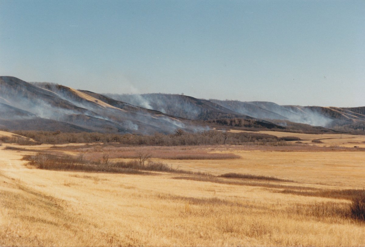 ThomCostea's tweet photo. Another FUN Blog, by Thom Costea
@ https://t.co/C8miYfMskF
Struggle for Survival
"The wildfires are currently raging . . ."

#currentculture #socialissues #wildfires #cultural #canadianwriter #journalists #wilderness #naturephotos #urbanscape #rurallife #myottawa #Saskatchewan https://t.co/KyVUt4Xd6w