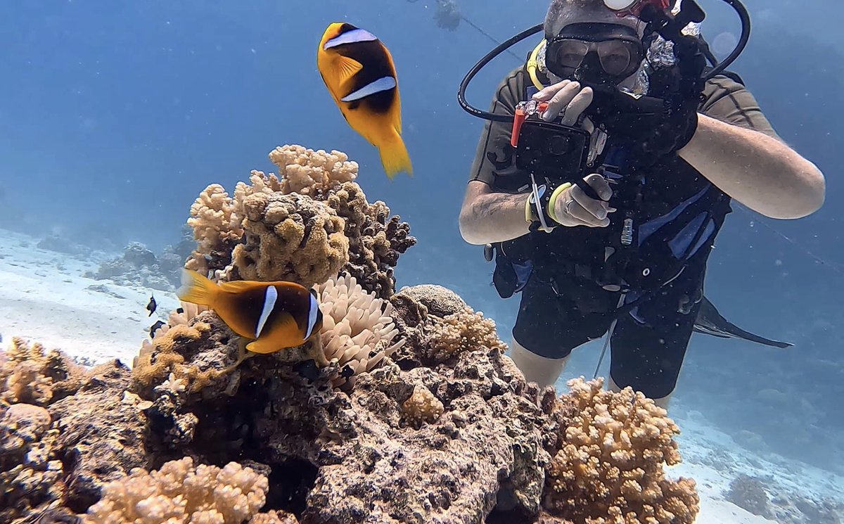 Dave Thompson MBE DL tweet media