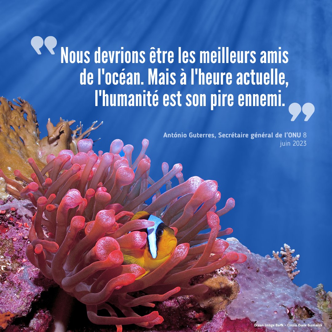 « Nous devrions être les meilleurs amis de l’océan.  Mais à l’heure actuelle, l’humanité est son pire ennemi ».

 — <a href="/antonioguterres/">António Guterres</a> appelle à une action urgente pour #SauverNosOcéans et protéger notre avenir commun.

Découvrez comment vous pouvez agir : un.org/sustainabledev…