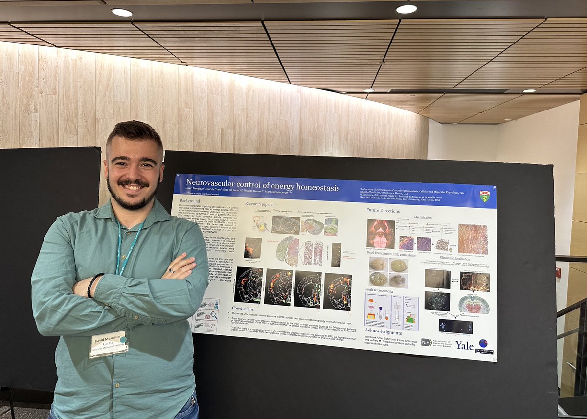 David Meseguer tweet media