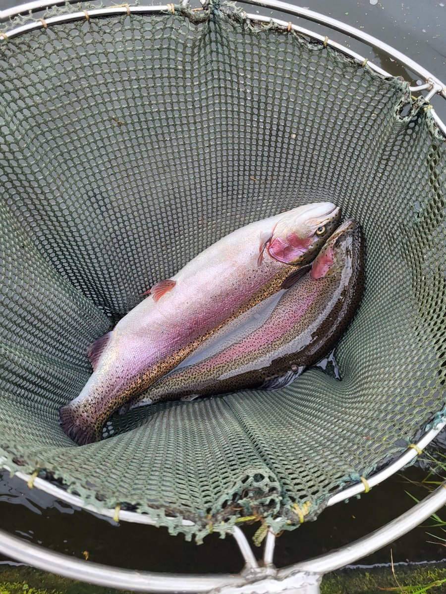 Ellerdine Ed tweet media