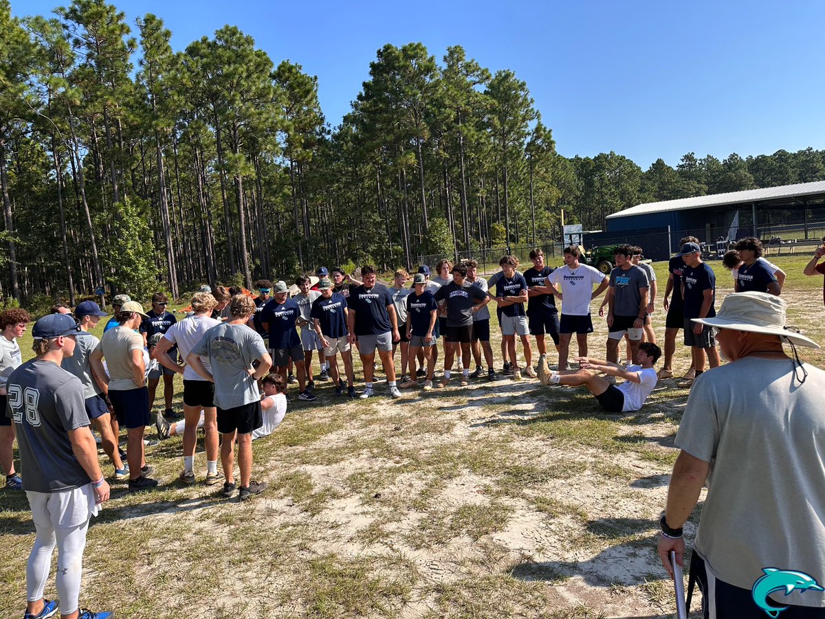 BCC Dolphins tweet media