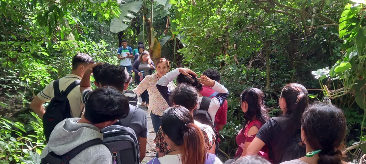 cuununan's tweet photo. Circuito y Exhibición de las diferentes especies de flora y fauna que existen en nuestro Jardín Botánico UNAN-León, en saludo al 77 aniversario del natalicio de nuestro comandante Edgard Munguía Álvarez.

#CUUN1914 
#ALCUUNMUNGUIA https://t.co/M2R80ogD4R