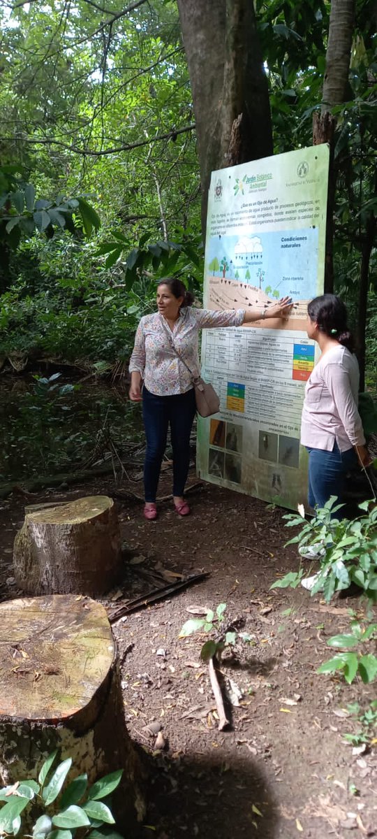 cuununan's tweet photo. Circuito y Exhibición de las diferentes especies de flora y fauna que existen en nuestro Jardín Botánico UNAN-León, en saludo al 77 aniversario del natalicio de nuestro comandante Edgard Munguía Álvarez.

#CUUN1914 
#ALCUUNMUNGUIA https://t.co/M2R80ogD4R