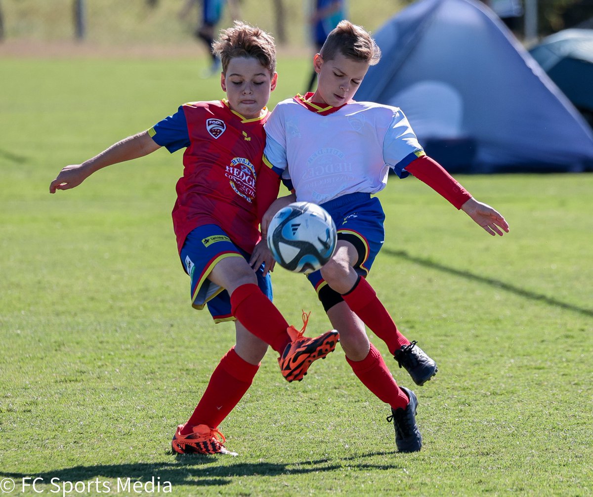 JUNIOR FOOTBALL GALLERY - 19 AUGUST

There was plenty of junior football action at the Fraser Coast Sports and Recreation Precinct yesterday.
FC Sports Media stopped to catch some of the game's future stars in action.

Check out the gallery here:
gallery.fcsportsmedia.com.au/gallery/221745…