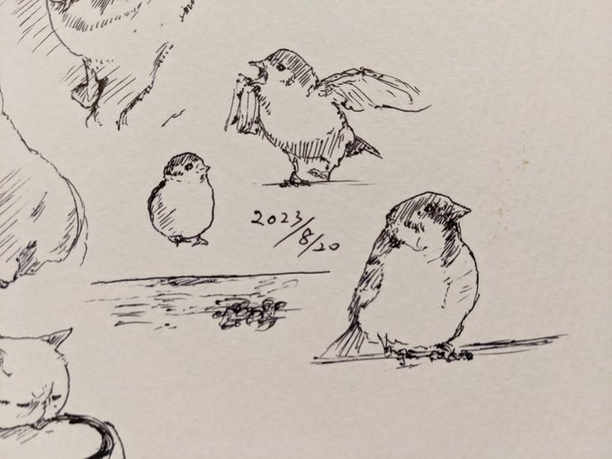 チュン カキカキ。 