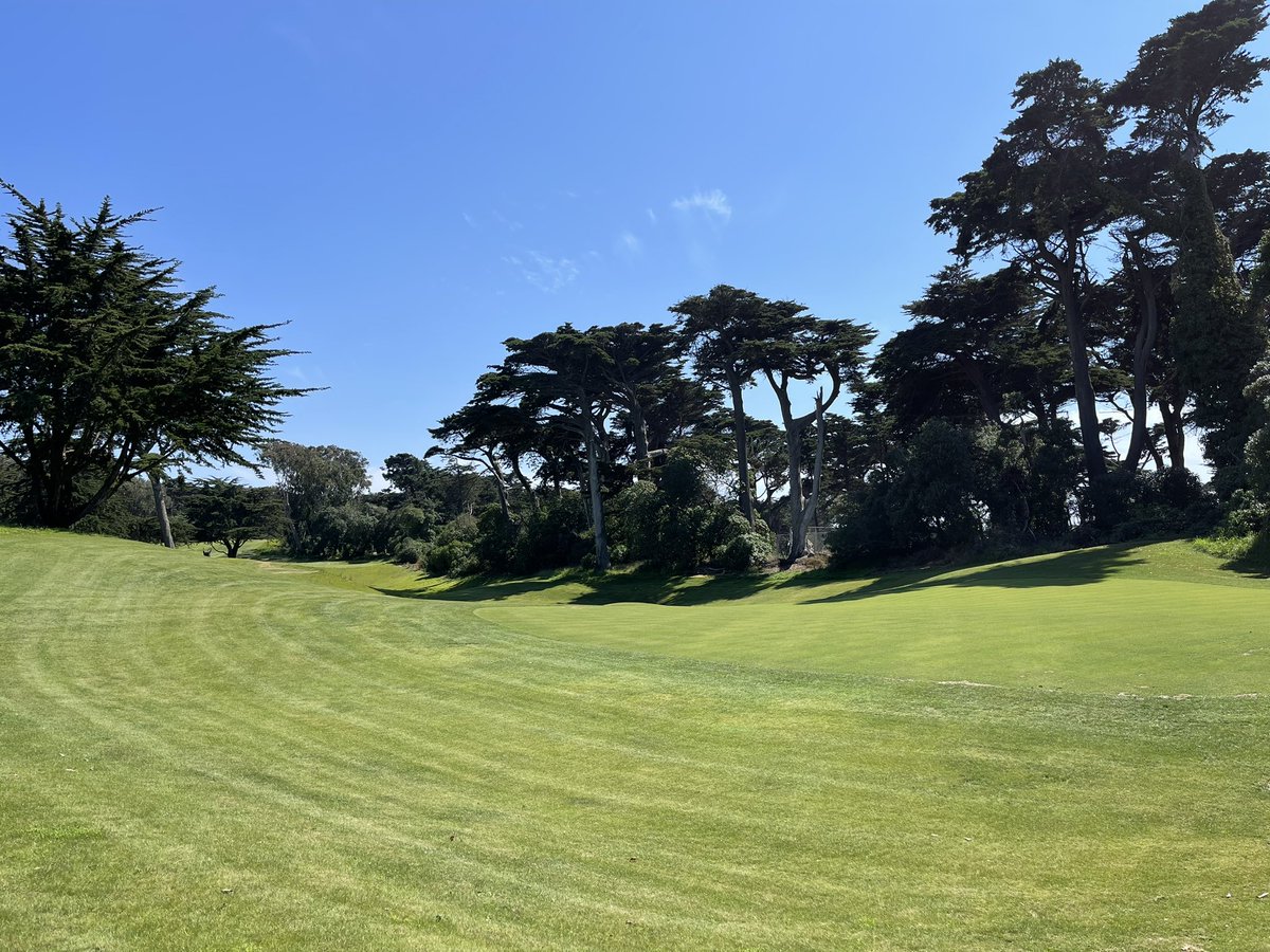 Golden Gate Park Golf Course progress pics…grow in coming along nicely! Fine fescue starting to look like it should! Great, sustainable turf selection for this climate. #GGP #punchbowl #lionsmouth #municipalgolf #doublegreen #firmandfast