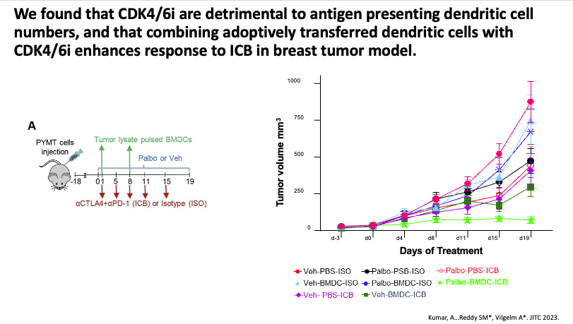 Highlighting the important role the innate immune system plays in immunotherapy, @smreddymd delivers an excellent lecture describing the rationale for augmenting CDK4/6i and ICB with dendritic cell therapy. #DAVAHawaiiBreast jitc.bmj.com/content/11/5/e…