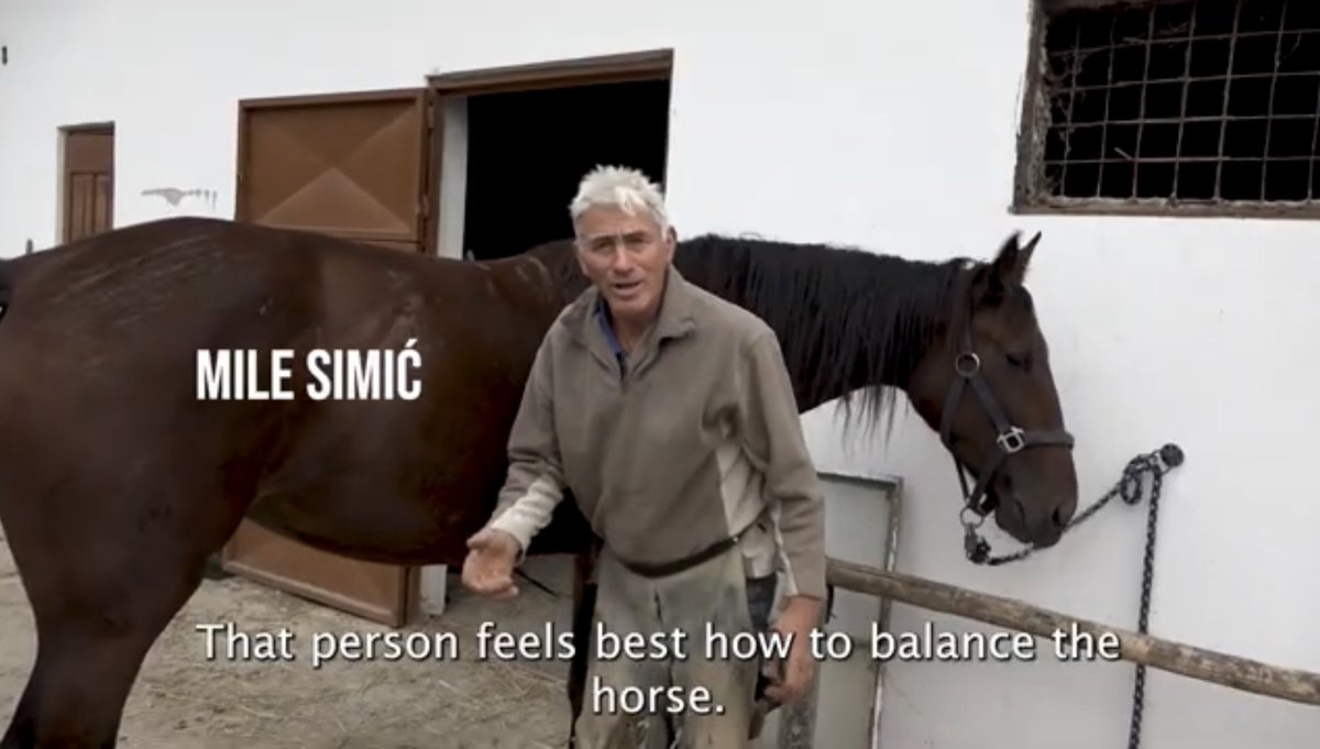 emil andel tweet media