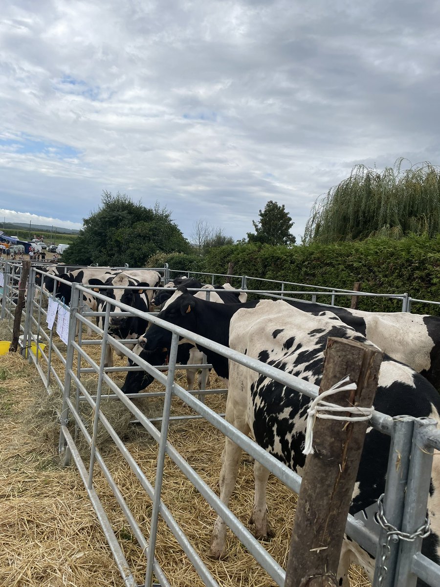 Philippe Chalopin tweet media