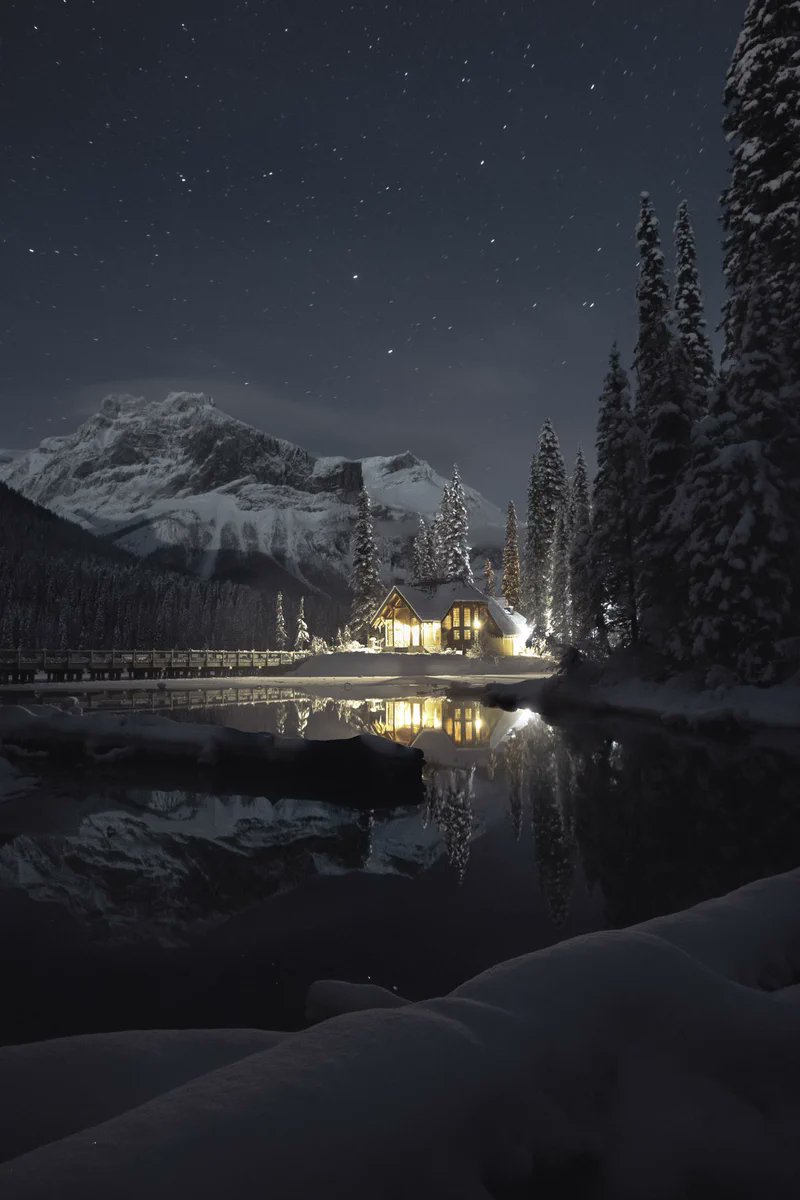 Geisha tweeter tweet media