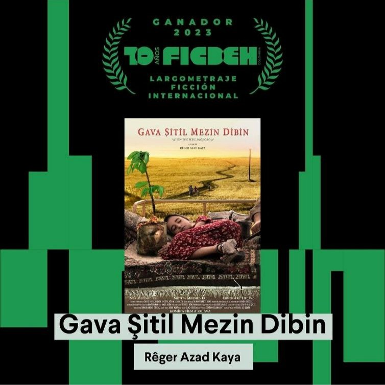 Filmê me bi navê "Gava Şitil Mezin Dibin" piştî festîvala 9th Montevideo Word film (URUGUAY) û Skip Ctiy İnternational D-Cinema (ya 20'min JAPONYA), di festîvala 10th International Festival for Human Rights (COLUMBİA) jî, xelata baştirîn filmê metraj dirèj ya navnetewî wergirt.