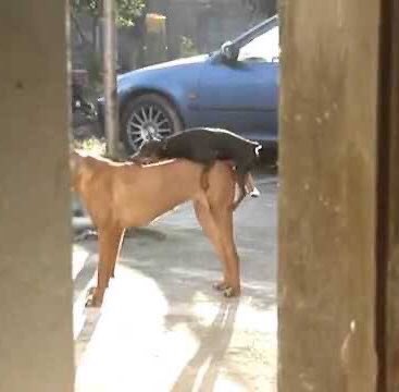 😂😂😂😂 https://t.co/zSyEFwo35P