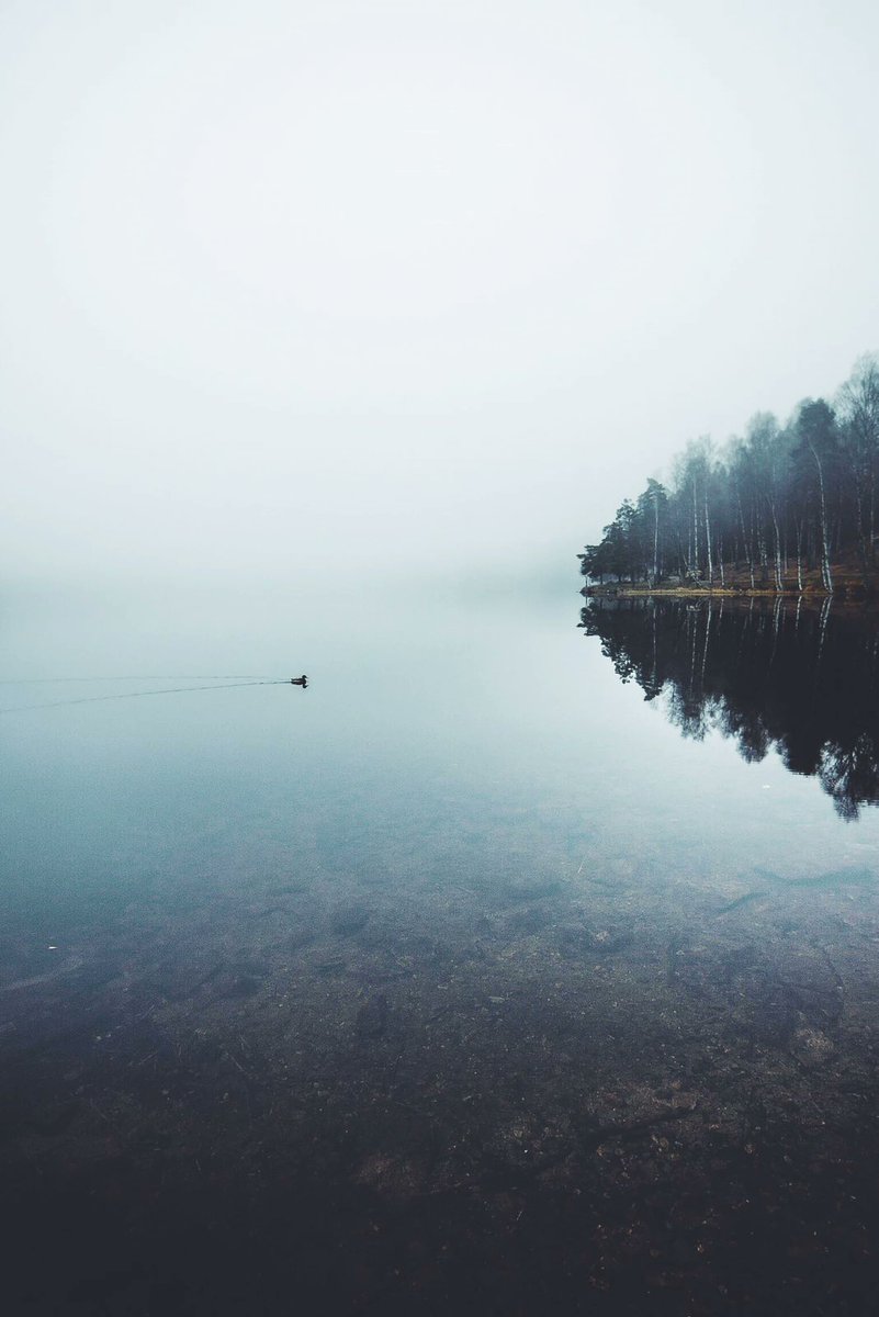 Happy #WorldPhotographyDay Marius <a href="/gravaimeeks/">mmarriuss</a>  👋 from my geisha vault #nftphotography