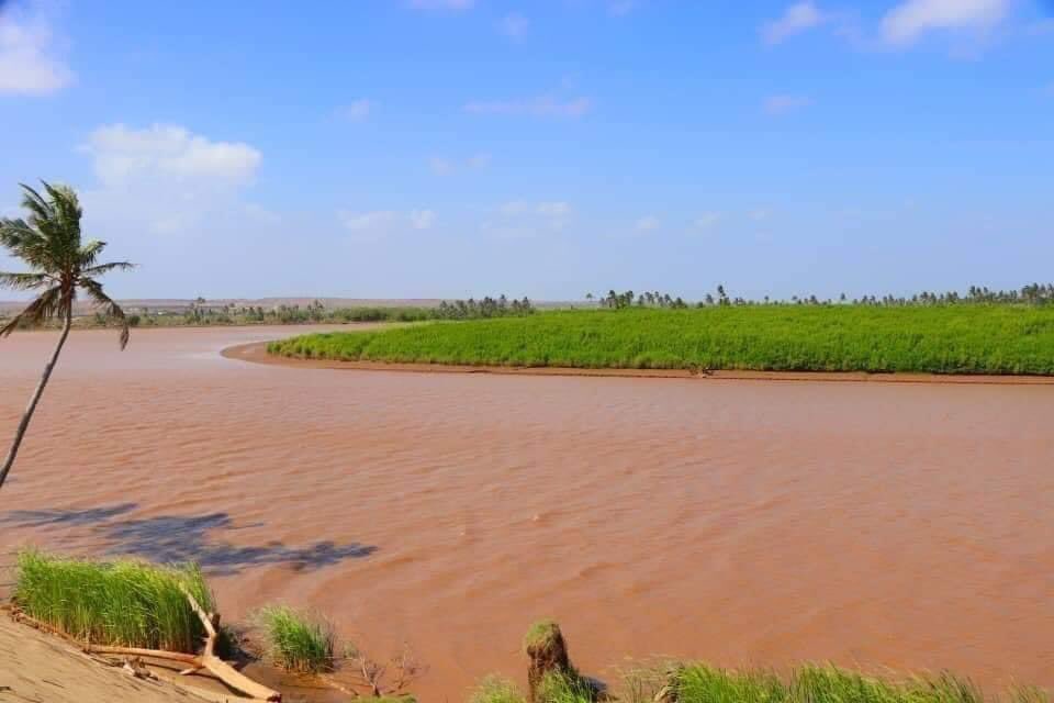 musse408's tweet photo. Hey Dear Somalis 🇸🇴✋.

We are soon planning to cultivation sesame, sunflower , onion and modern agriculture .

Do you have a farm in Kgs, Jubaland, Hirshabelle or the river area ? https://t.co/KYFaKCsqKU