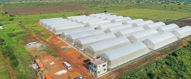 musse408's tweet photo. Hey Dear Somalis 🇸🇴✋.

We are soon planning to cultivation sesame, sunflower , onion and modern agriculture .

Do you have a farm in Kgs, Jubaland, Hirshabelle or the river area ? https://t.co/KYFaKCsqKU