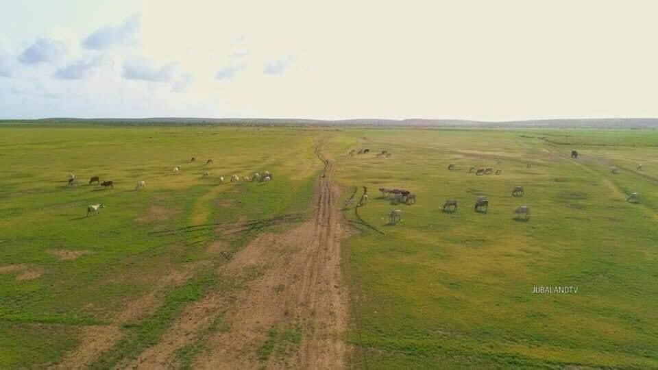 musse408's tweet photo. Hey Dear Somalis 🇸🇴✋.

We are soon planning to cultivation sesame, sunflower , onion and modern agriculture .

Do you have a farm in Kgs, Jubaland, Hirshabelle or the river area ? https://t.co/KYFaKCsqKU