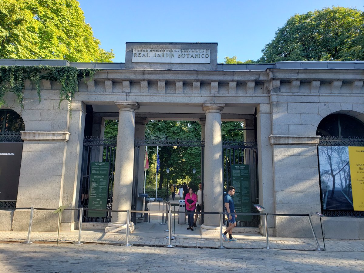 Saw box framed every bed in the Jardin Botanico of Madrid with different levels of BTM but no sign of box blight late pm of 8/16.
