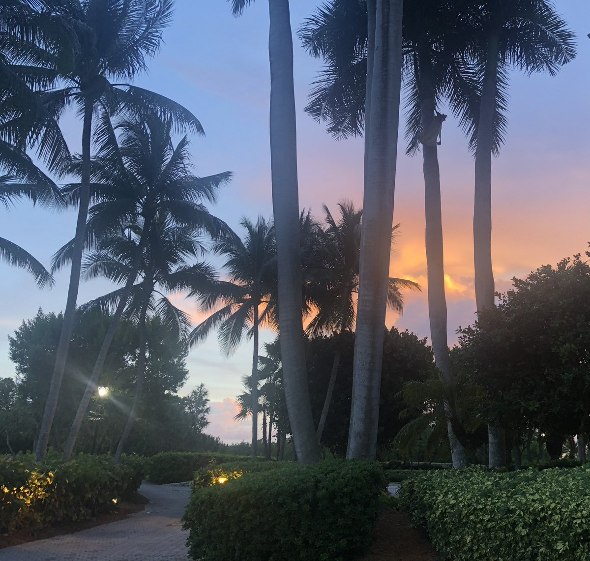 Sunset in Miami ❤️