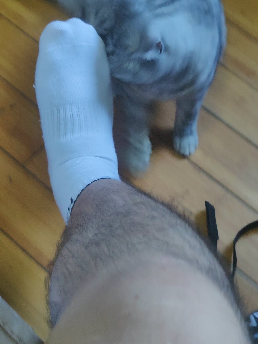 不然怎么叫亲生的呢