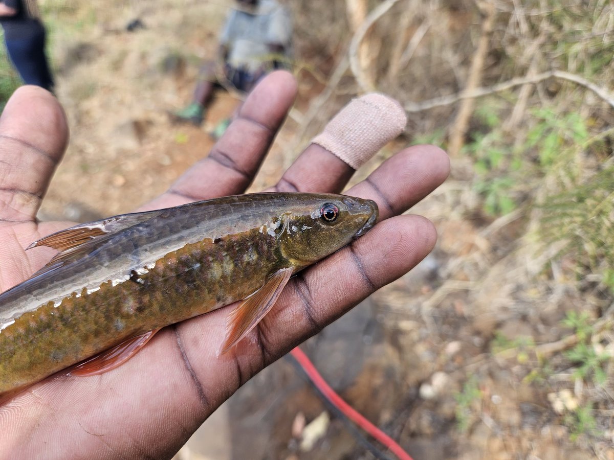 Aquatic Systems Research Group tweet media