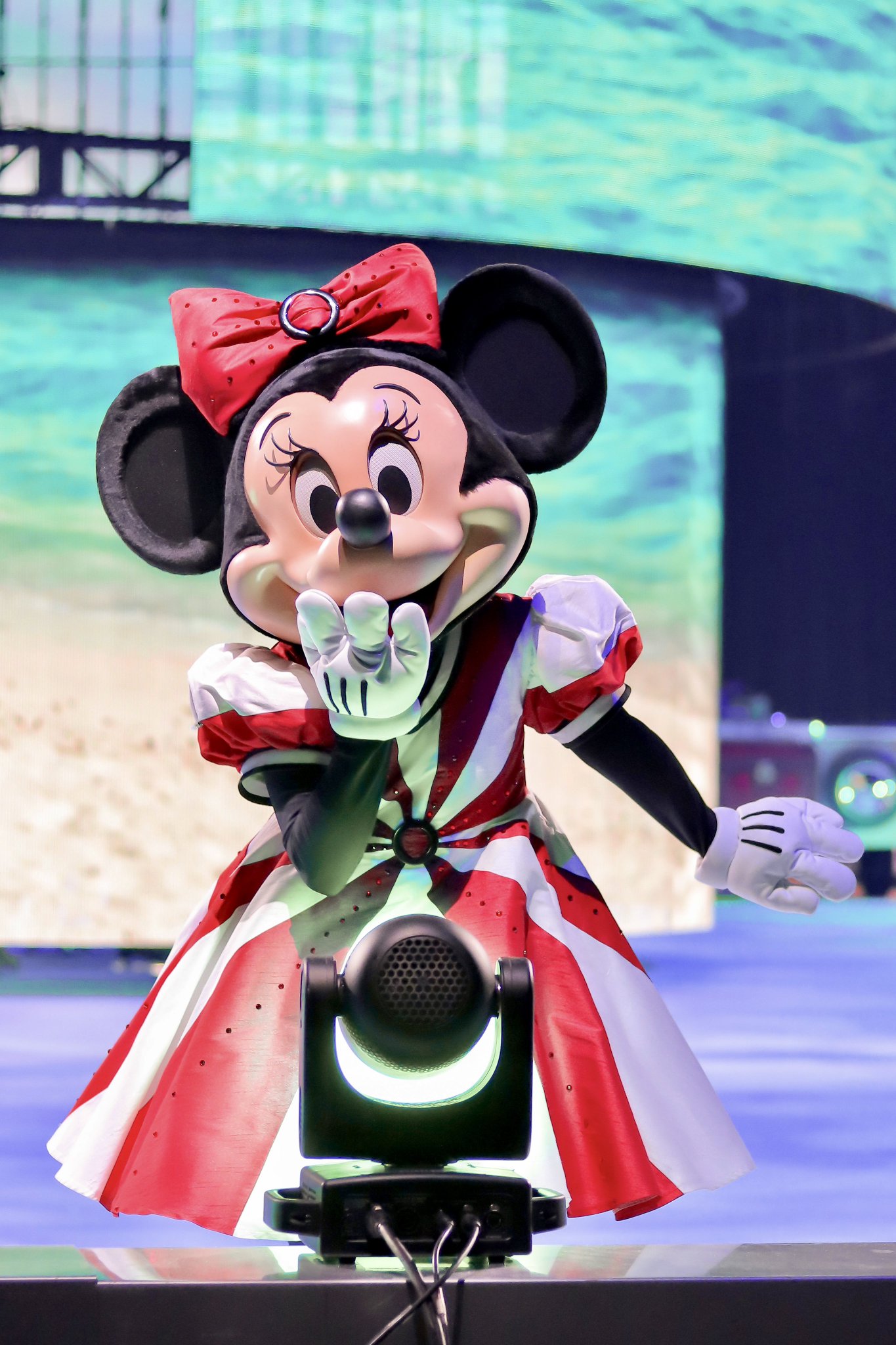 minnie様専用 ミニちゃん様専用 minnie様専用❗️ ♡ミニーちゃん様、専用ページ