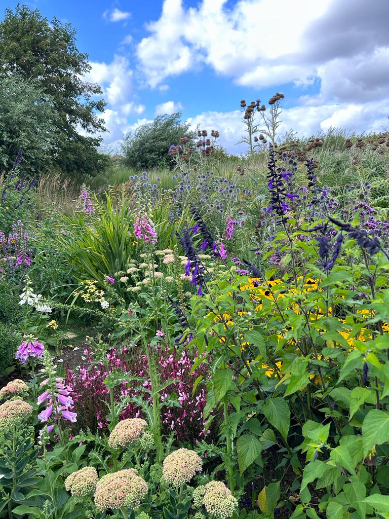 Sensounet's tweet photo. #WWTLondon #WildLondon #Wetlamds #London #Barnes #wildlifepond #wildlife #birdwatching https://t.co/j8cOutfKxD