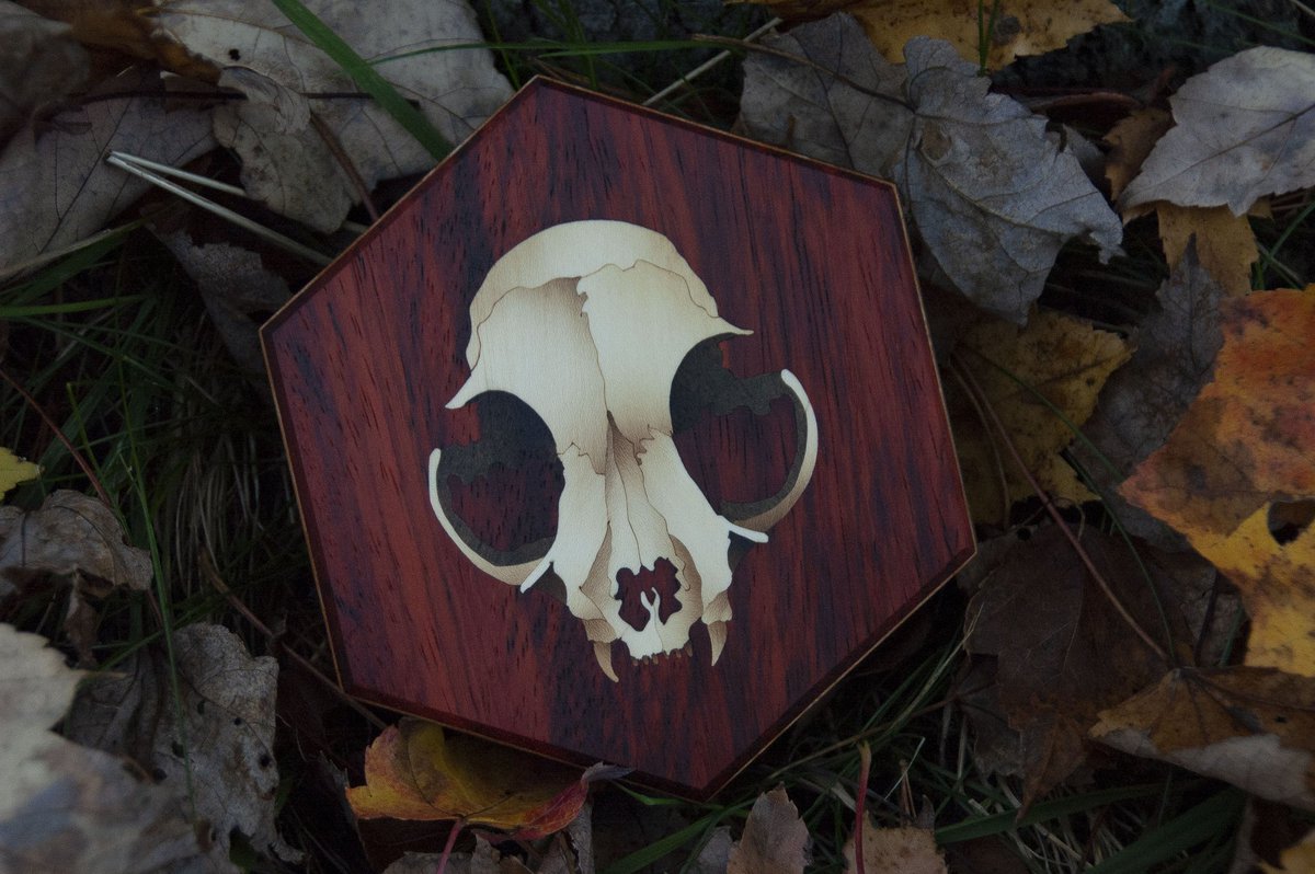 StingandSaw's tweet image. These designs and more coming this Monday at 6PM EST! 

Help me beat the algorithm and please repost and share. Thanks a bunch!!

#dicebox #ttrpg #dungeonsanddragons #dnd #pathfinder #dice