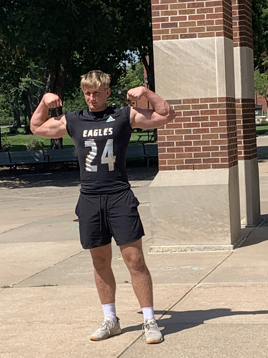 Ryan Koll tweet media