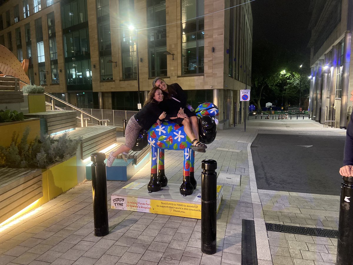 pwarrick1's tweet photo. @WorldBollard hello bollard community, hope you’ve all had a wonderful weekend, just my little darlings on the new bollard in our city , keep on bollarding guys, love big Paul xxx https://t.co/Cr16iqpJHG
