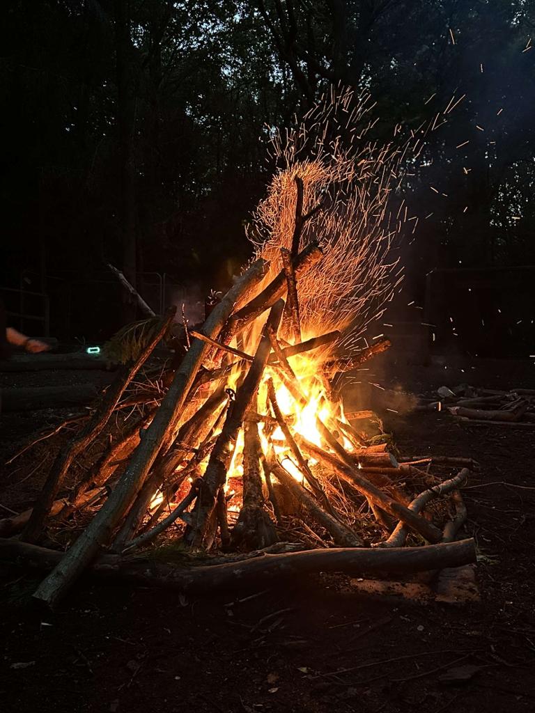 Sarah Evans tweet media