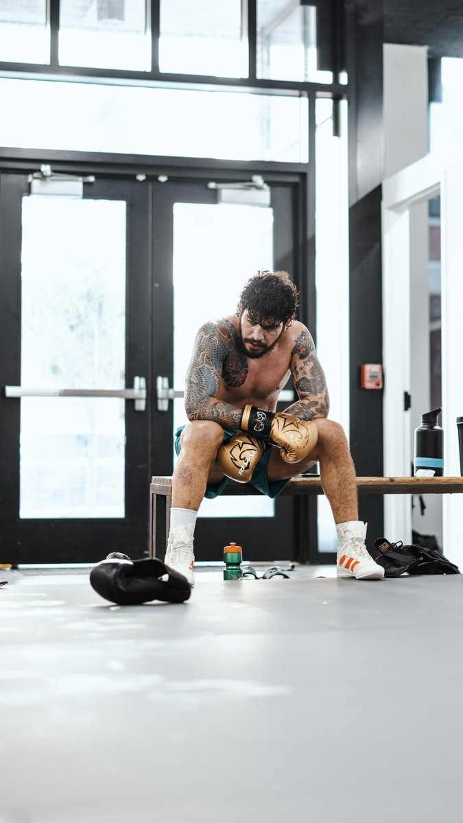 dillondanis's tweet image. man on a mission 😤