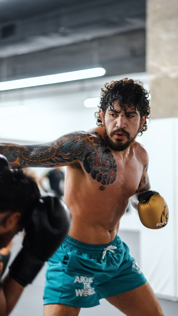 dillondanis's tweet image. man on a mission 😤