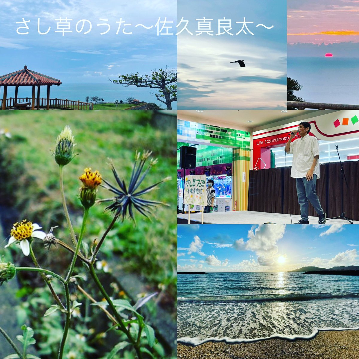 caorim2's tweet photo. 昨日は、
歌声に癒されてきました❤️
大好きな地元の写心とレイアウトしてみましたよー。
#佐久真良太 #さし草のうた #沖縄 #癒しボイス https://t.co/tbpVzrAnab