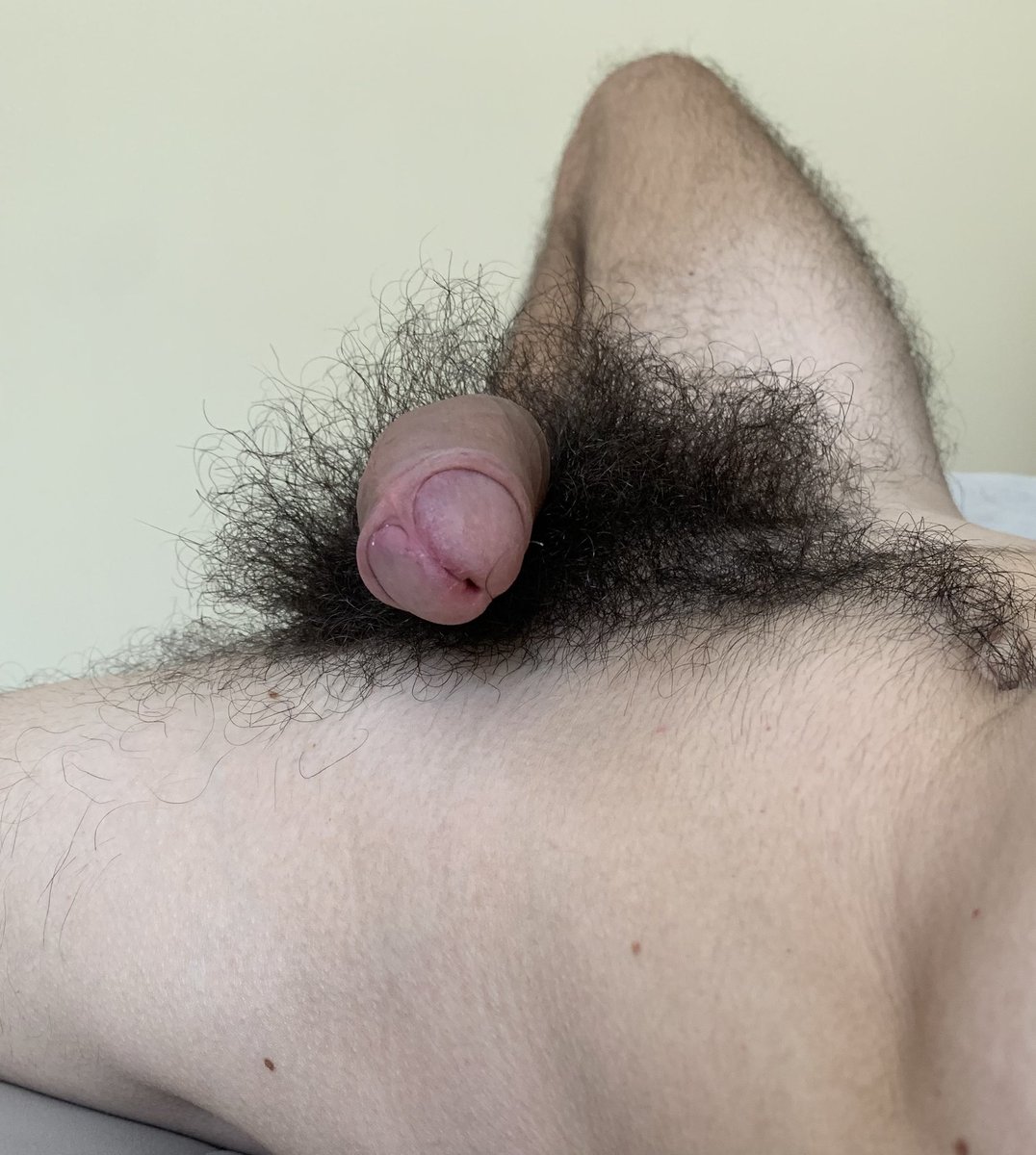 Pentelhos_World's tweet photo. A pentelhada de vocês também fica vazando pela cueca? 😈
📷: @pntlho https://t.co/dOjT9OM0kE