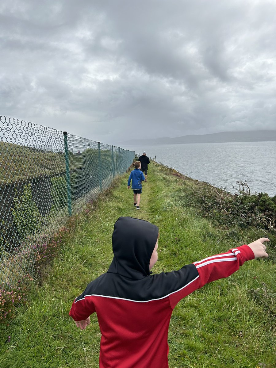 Mollkos's tweet photo. Day 229-231 of #365daysofwalking have been walking but this form wouldnβt allow me post!. Day 1690-92 of #1700daysofwalking #365crew https://t.co/JY6cfjgRPh