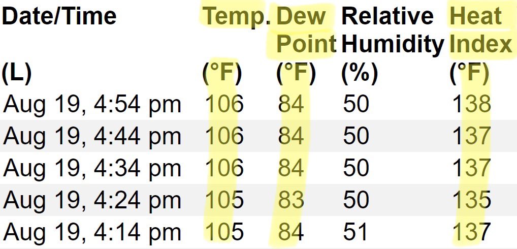 TWCAlexWallace's tweet photo. We’re busy focusing on #Hilary BUT the heat &amp; humidity in the middle of the country is borderline unreal! This is an observation in Eastern Kansas. Temps around 106 with Dew Points in the mid 80s. Heat Index up to 138!!! #KSwx 🥵 https://t.co/gsYhCUOwZ3