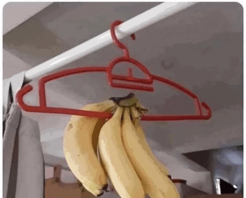 greg16676935420's tweet photo. @PicturesFoIder If you ever want your bananas to last longer hang them like this to trick them into thinking they’re still on the tree https://t.co/gtEbnhcnCP
