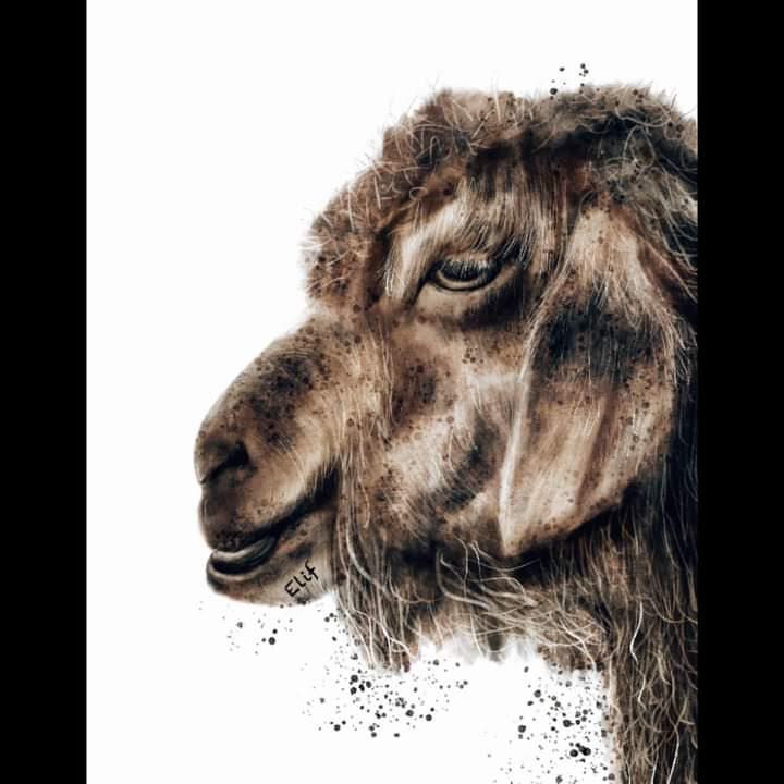 Hi fam, realistic from today 🤍

#animals #Realistic #art #artist #digitalart