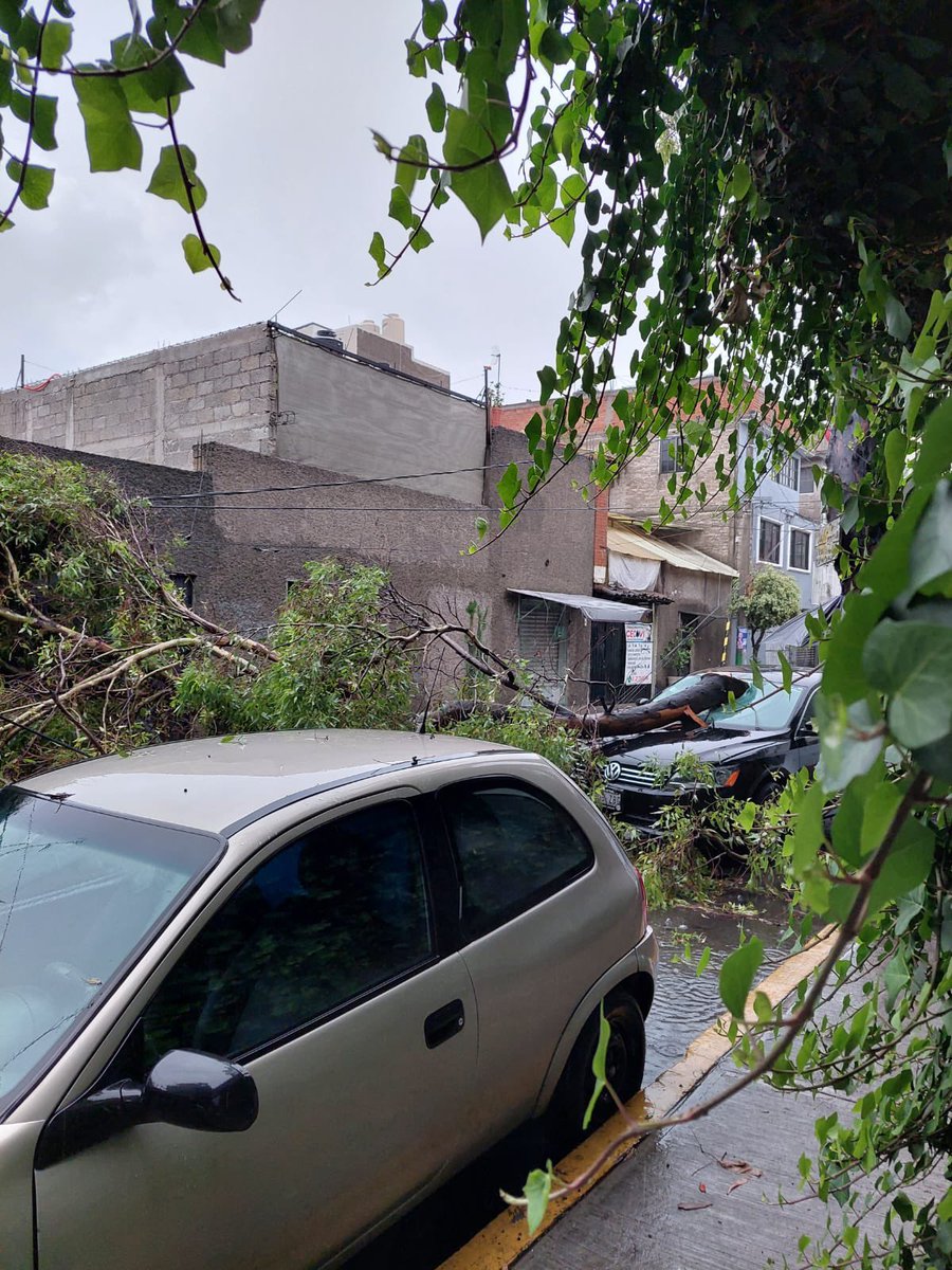 Tu conciencia tweet media