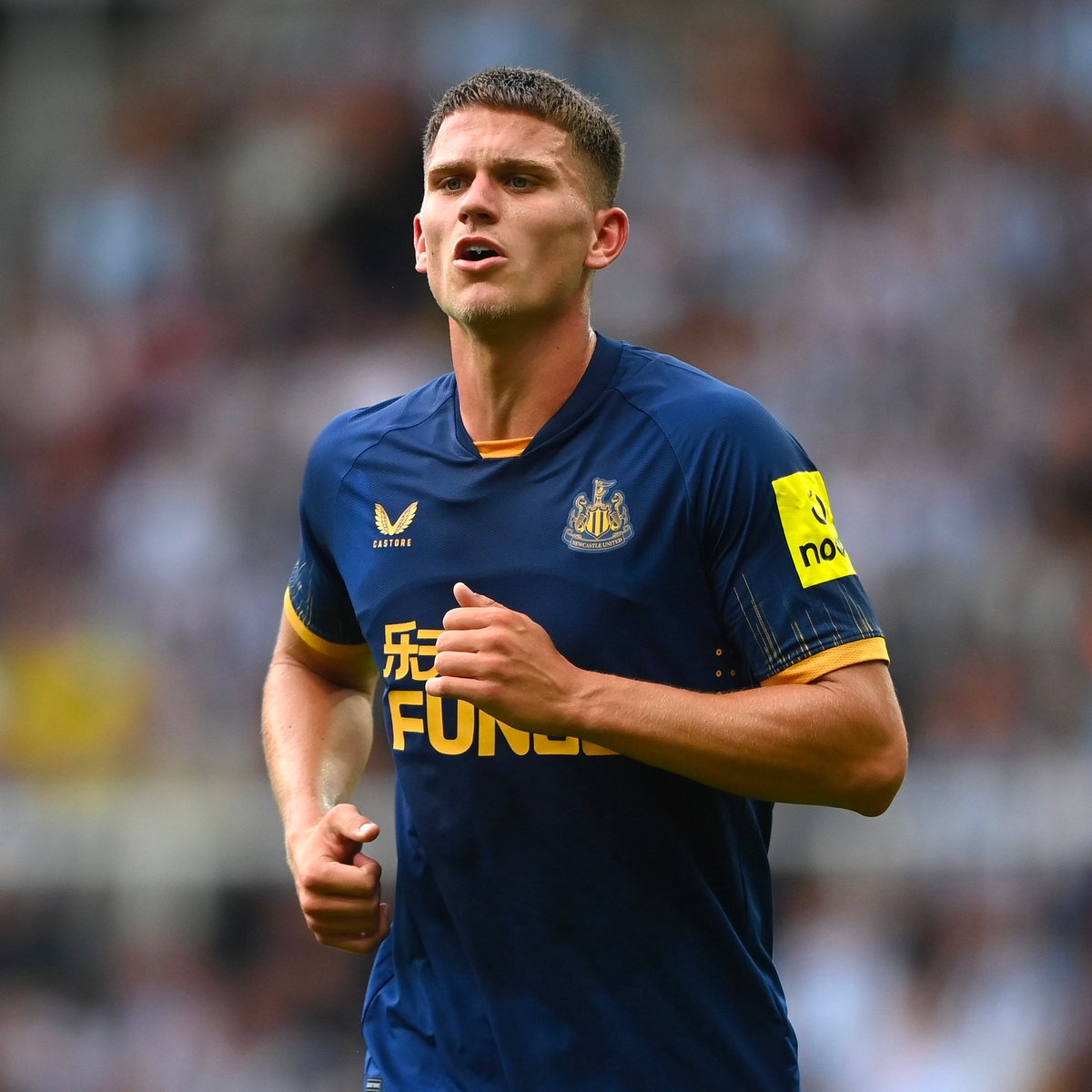 In the last six months, Erling Haaland has failed to scored at the Etihad when playing a full 90 minutes only twice:

March 2023 - Newcastle United
August 2023 - Newcastle United

Sven Botman.

#NUFC