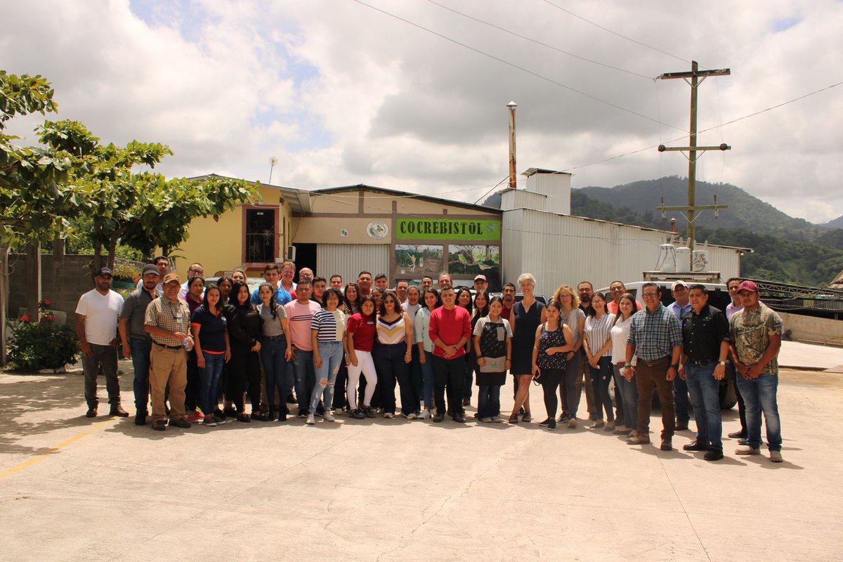 GizHonduras's tweet photo. En coordinación con @ONGCesal , @rikoltoLA , @Solidaridadnetw , @AhprocafeM , @Ihcafehn , @Promecafe , y cooperativas de #café #GIZ #INATrace 🇭🇳🇩🇪 https://t.co/iZJaAjsRkM