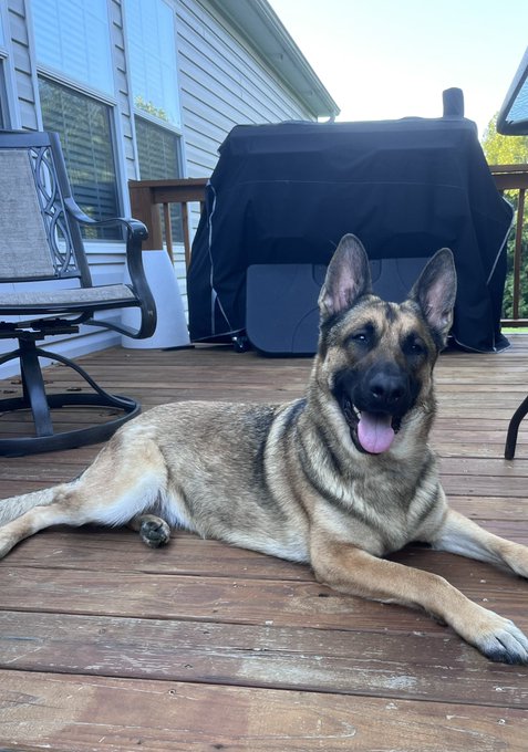 The best baby ❤️❤️ https://t.co/N7bAtUxytK