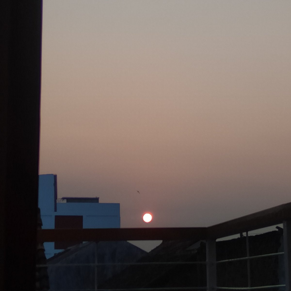 scriptseas's tweet image. morningggg