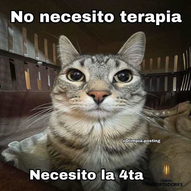 TheOrlandini's tweet photo. https://t.co/iuf6UuEE6d