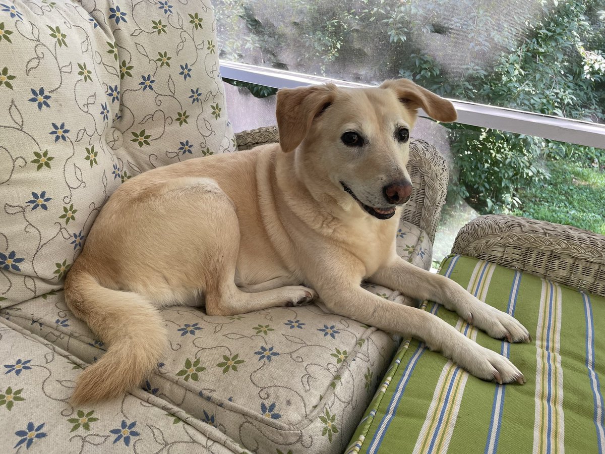 Sarah Gantz tweet media